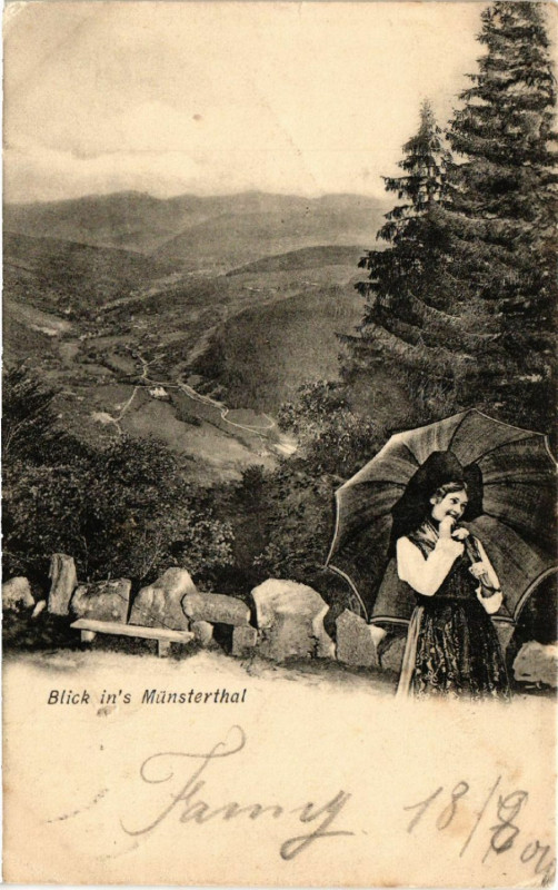 Carte postale ancienne Blick in's Munsterthal à Munster