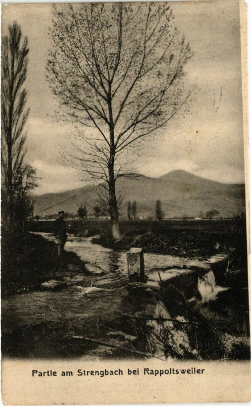 Carte postale ancienne Partie am Sterngbach b. Rappoitsweiler