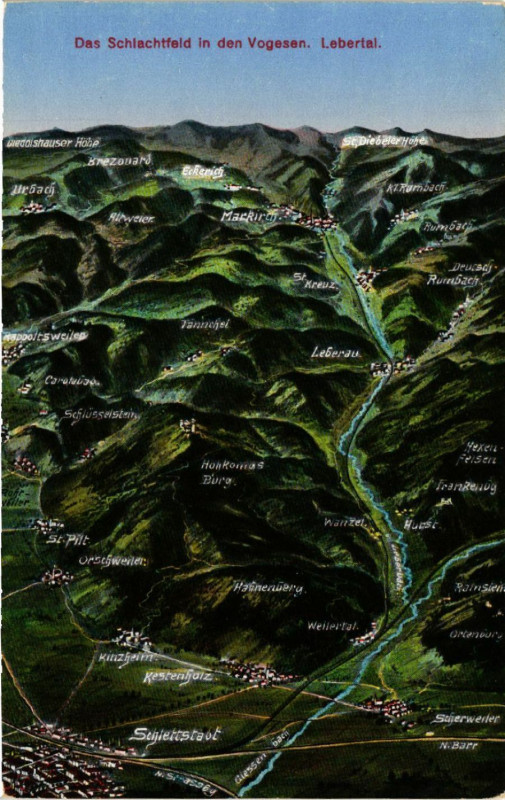 Carte postale ancienne Das Schlachtfeld in den Vogesen - Lebertal