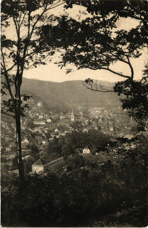 Carte postale ancienne Markirch - Sainte-Marie-aux-Mines à Sainte-Marie-aux-Mines