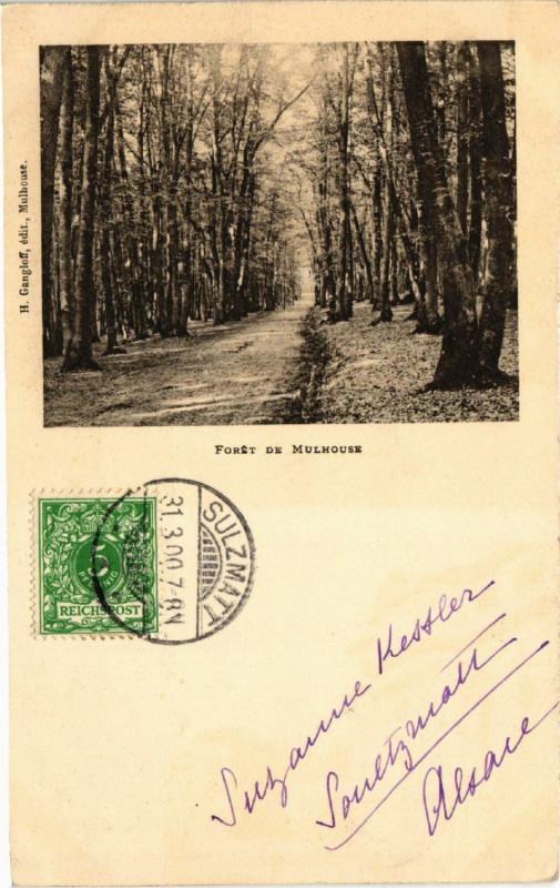 Carte postale ancienne Foret de Mulhouse à Mulhouse