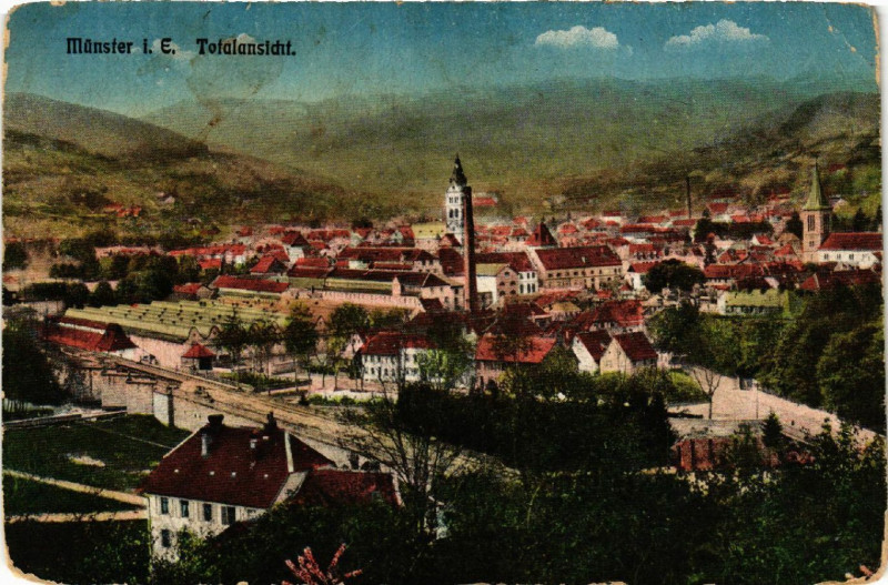 Carte postale ancienne Munster i. E. - Totalansicht à Munster