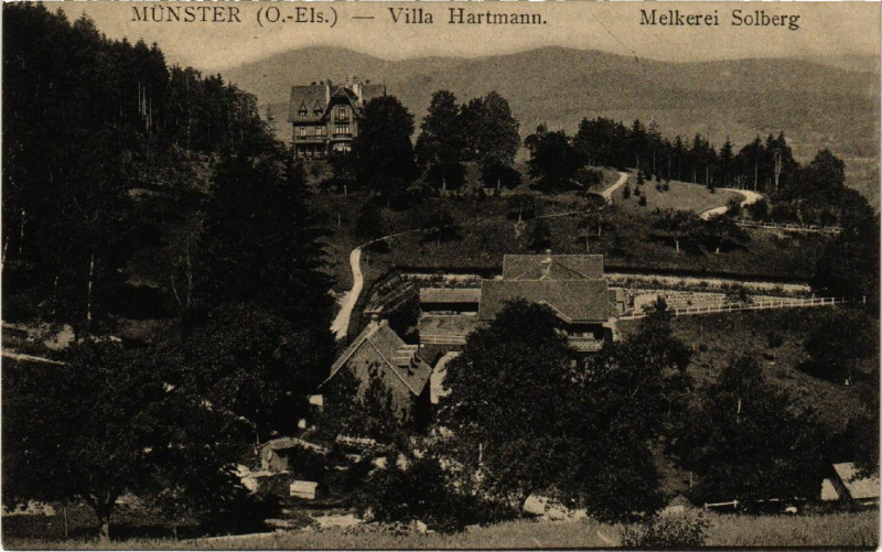 Carte postale ancienne Munster - Villa Hartmann à Munster