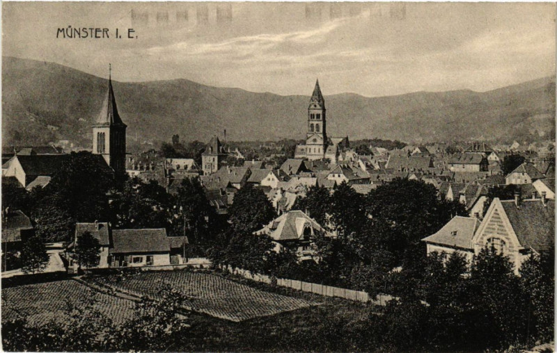 Carte postale ancienne Munster i. E. à Munster