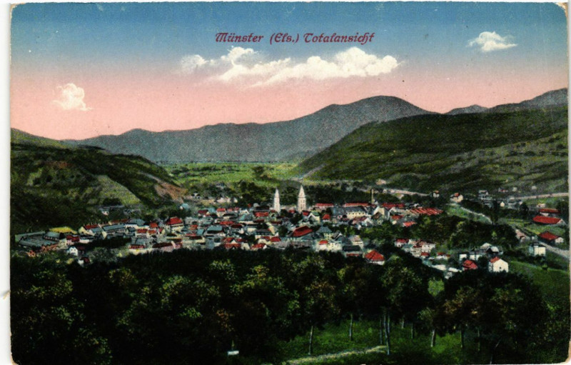 Carte postale ancienne Munster Totalansicht à Munster
