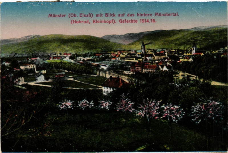 Carte postale ancienne Munster mit Blick auf das hintere Munstertal à Munster