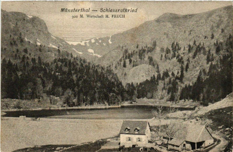 Carte postale ancienne Munsterthal - SCHIESSROThried à Munster