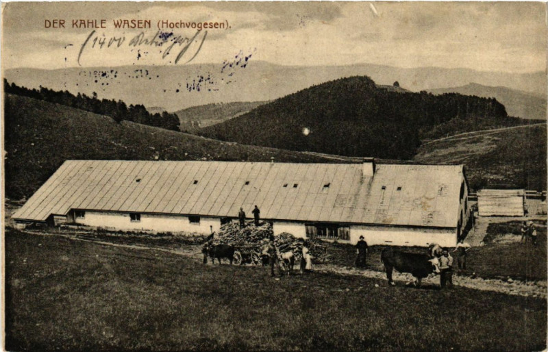 Carte postale ancienne Der Kahle Wasen