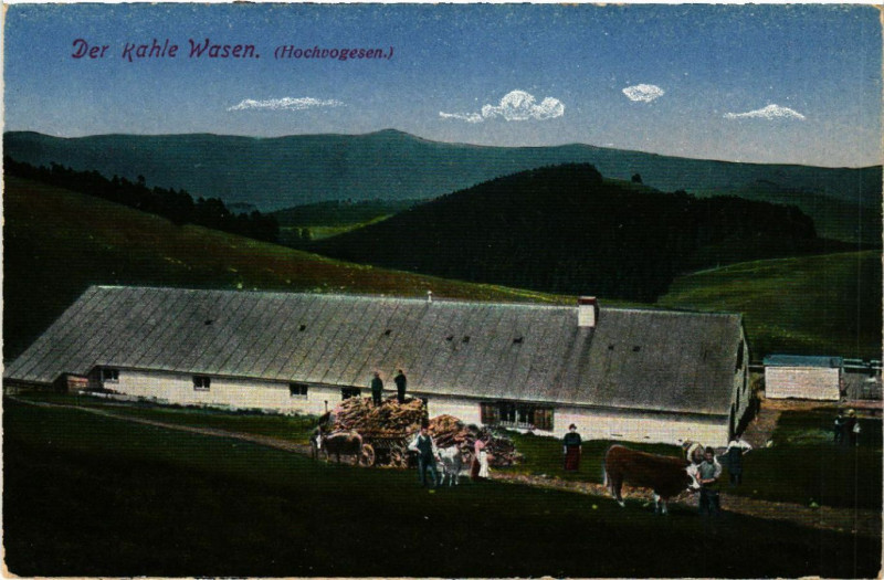 Carte postale ancienne Der Kahle Wasen