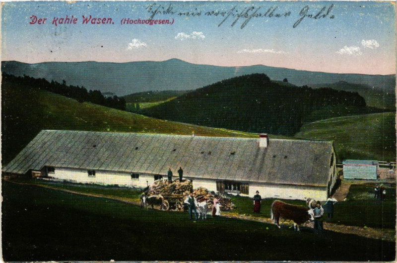 Carte postale ancienne Der Kahle Wasen