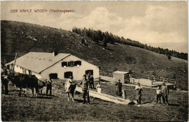 Carte postale ancienne Der Kahle Wasen
