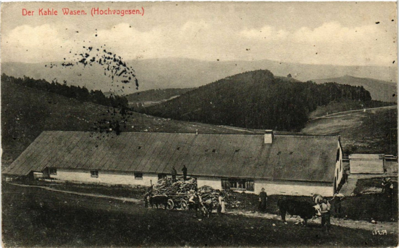 Carte postale ancienne Der Kahle Wasen