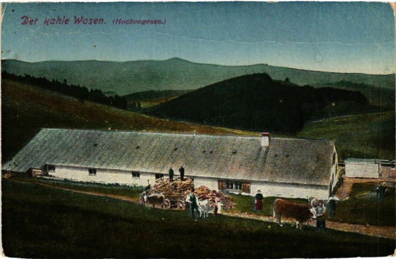 Carte postale ancienne Der Kahle Wasen