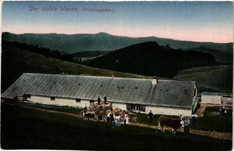 Carte postale ancienne Der Kahle Wasen