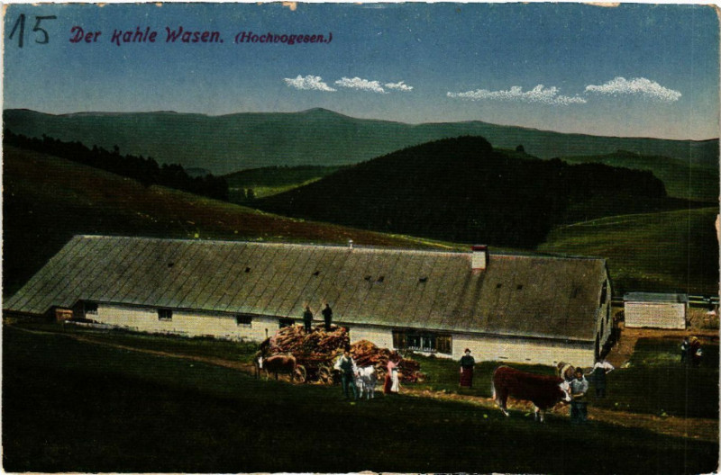 Carte postale ancienne Der Kahle Wasen