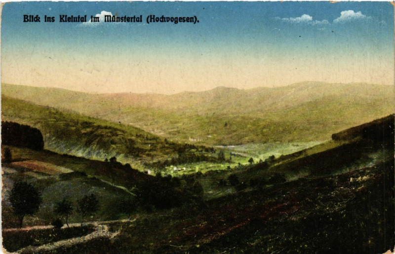 Carte postale ancienne Blick ins Kleintal im Munstertal à Munster