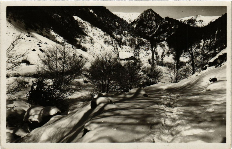Carte postale ancienne La Vallée de Munster - La Wolmsa à Munster