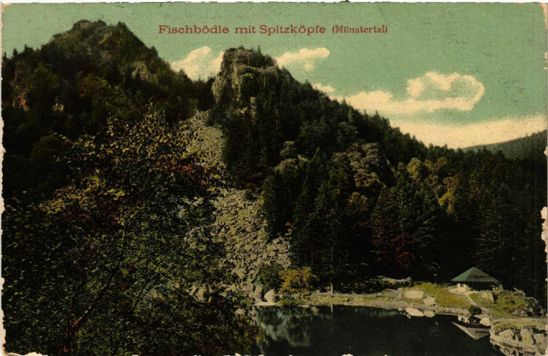 Carte postale ancienne Fischbodle mit Spitzkopfe