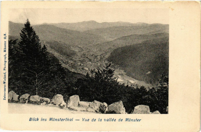 Carte postale ancienne Blick in Munsterthal - Vue de la vallée de Munster à Munster