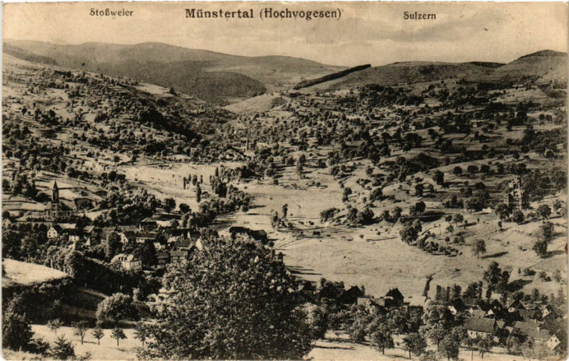 Carte postale ancienne Munstertal à Munster