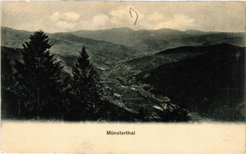 Carte postale ancienne Munsterthal à Munster