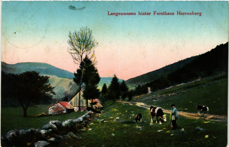 Carte postale ancienne Langenwasen hinter Forsthaus Herrenberg