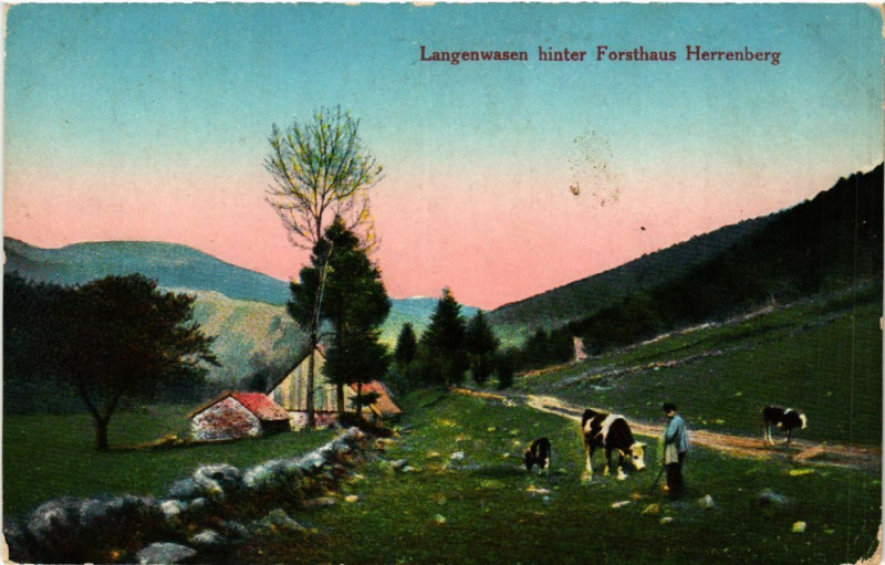 Carte postale ancienne Langenwasen hinter Forsthaus Herrenberg