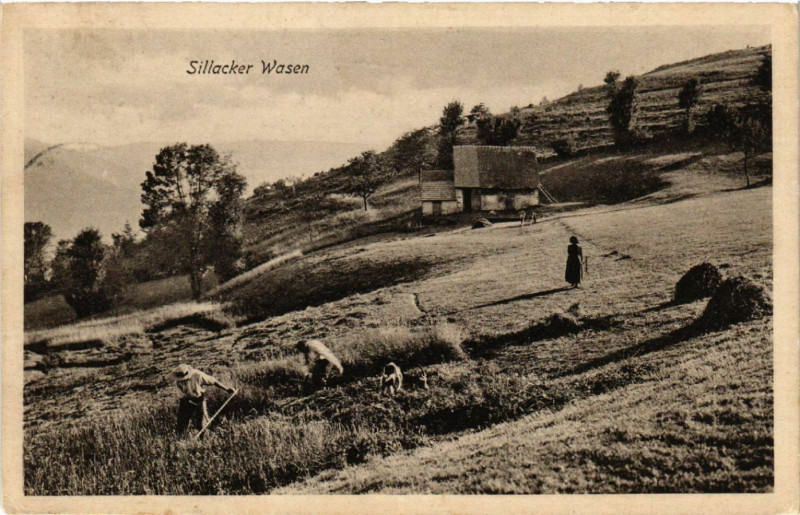 Carte postale ancienne Sillacker Wasen