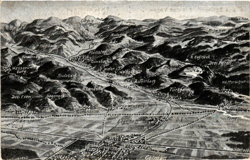 Carte postale ancienne Das Schlachtfeld in den Vogesen