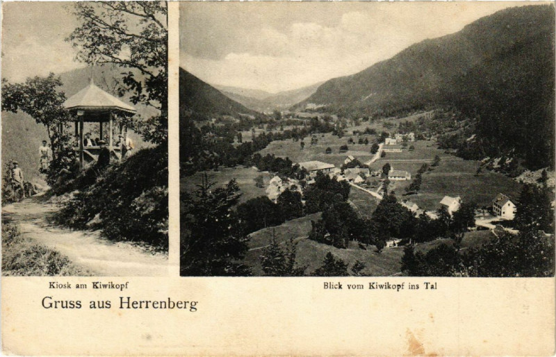 Carte postale ancienne Gruss aus Herrenberg