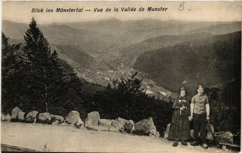 Carte postale ancienne Blick ins Munstertal - Vue de la Vallée de Munster à Munster