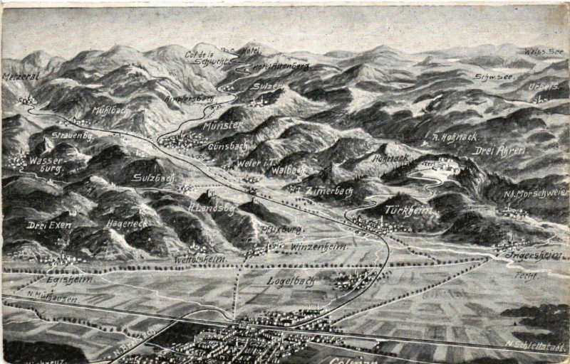 Carte postale ancienne Das Schlachtfeld in den Vogesen