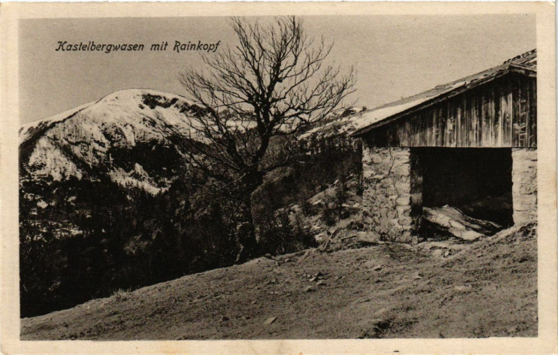 Carte postale ancienne Kastelbergwasen mit Rainkopf