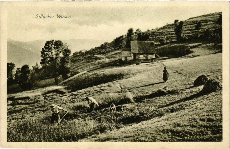 Carte postale ancienne Sillacker Wasen