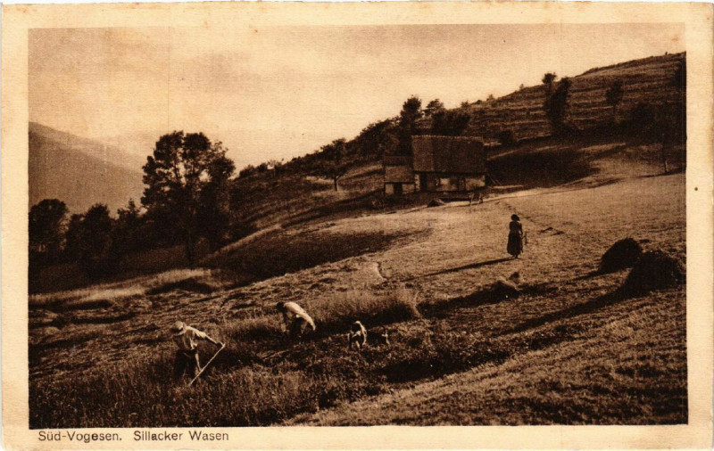 Carte postale ancienne Sud-Vogesen - Sillacker Wasen