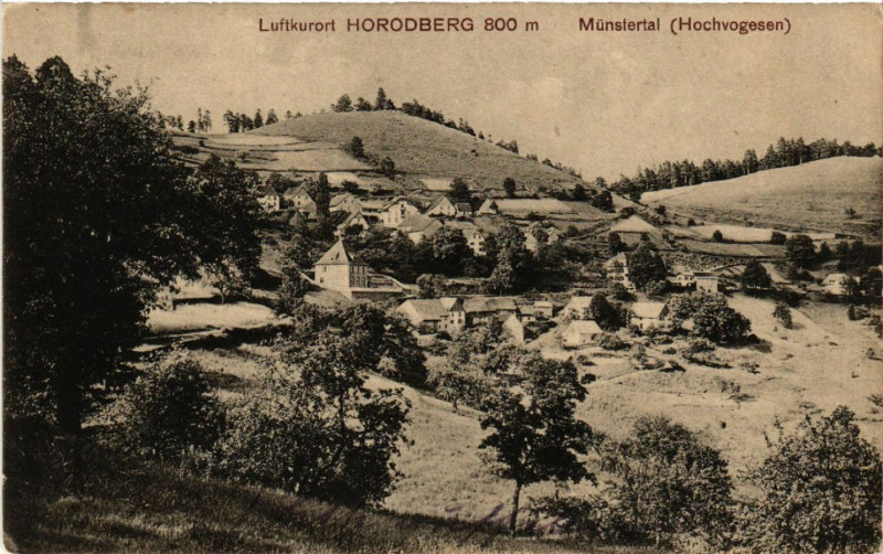 Carte postale ancienne Luftkurort Horodberg - Munstertal à Munster