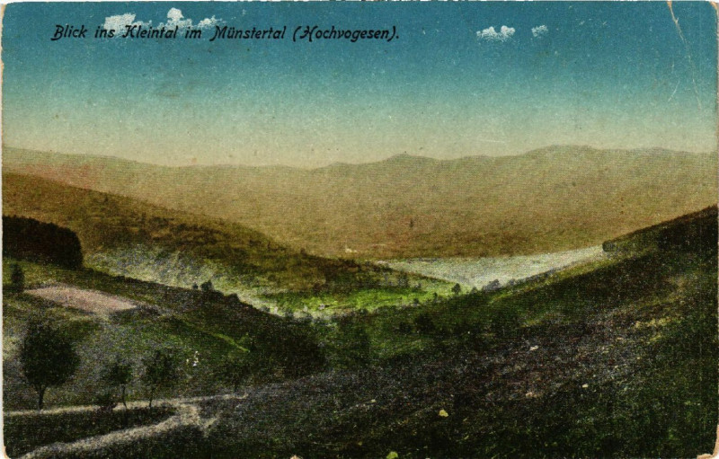 Carte postale ancienne Blick ins Kleintal im Munstertal à Munster