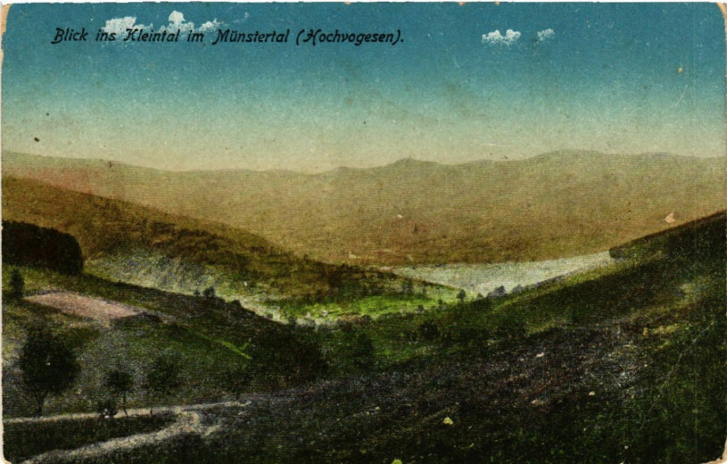 Carte postale ancienne Blick ins Kleintal im Munstertal à Munster