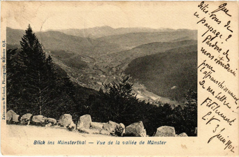Carte postale ancienne Blick ins Munsterthal - Vue de la vallée de Munster à Munster