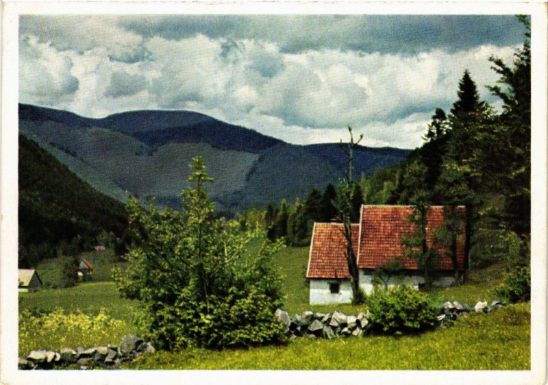 Carte postale ancienne Munstertal - Mittlach - Beim Langenwasen à Mittlach