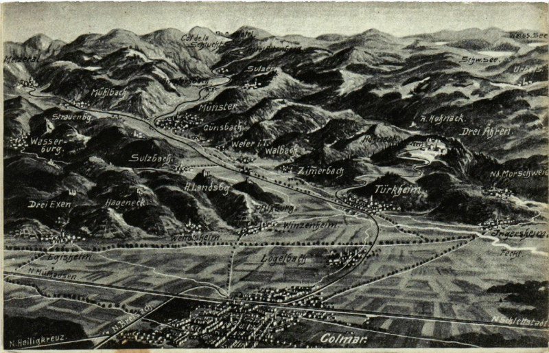 Carte postale ancienne Das Schlachtfeld in den Vogesen