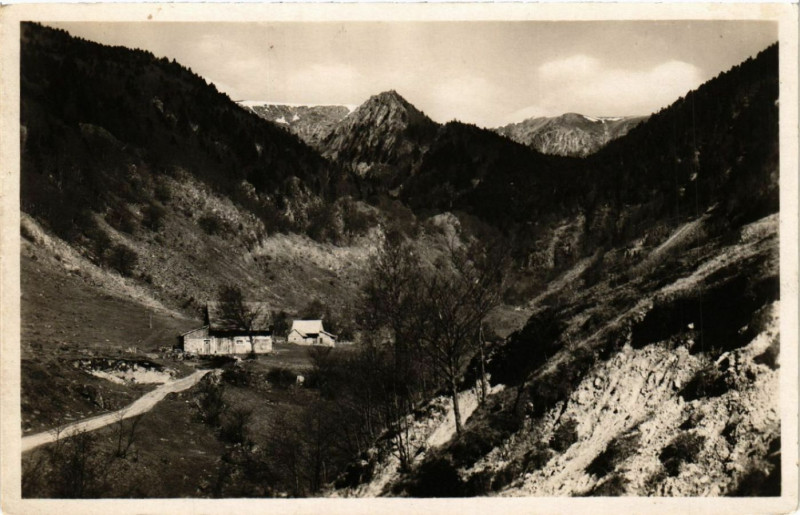 Carte postale ancienne Wolmsa - Vue sur Spitzkoepfe et Hohneck