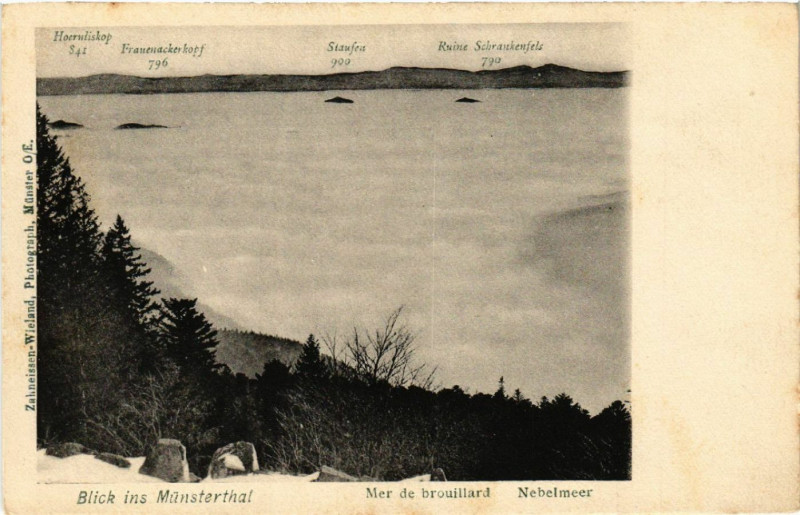 Carte postale ancienne Blick ins Munsterthal à Munster