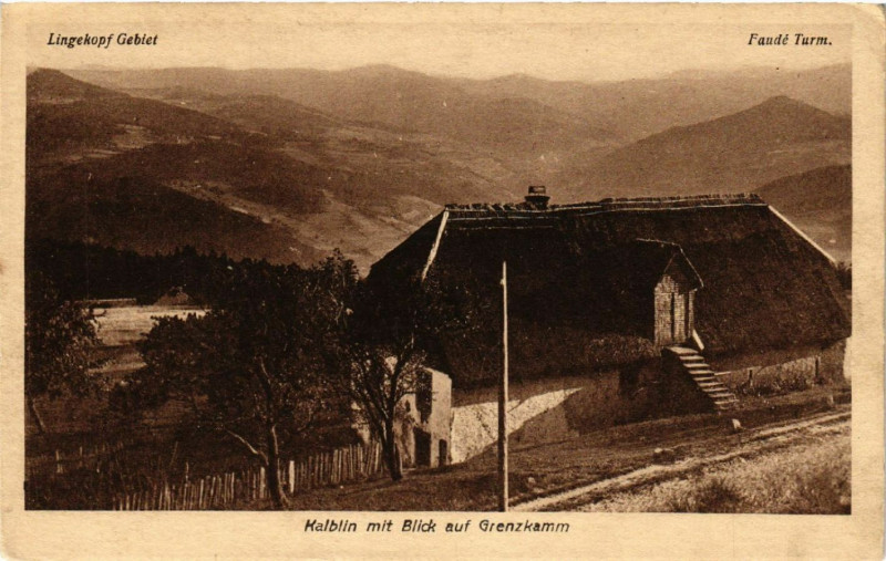Carte postale ancienne Kalblin mit Blick auf Grenzkamm