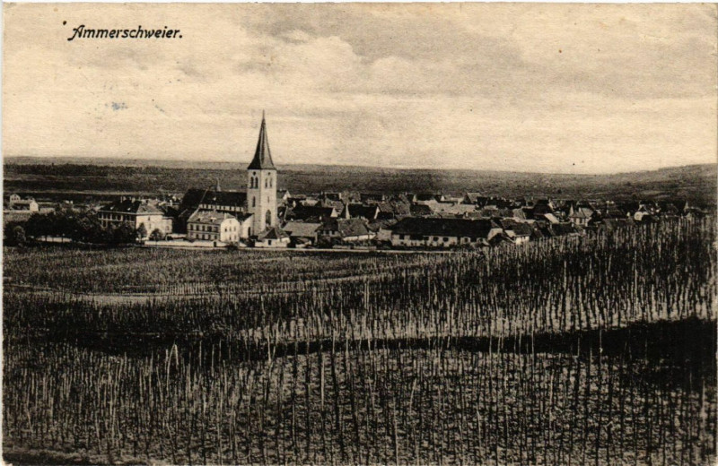 Carte postale ancienne Ammerschweier