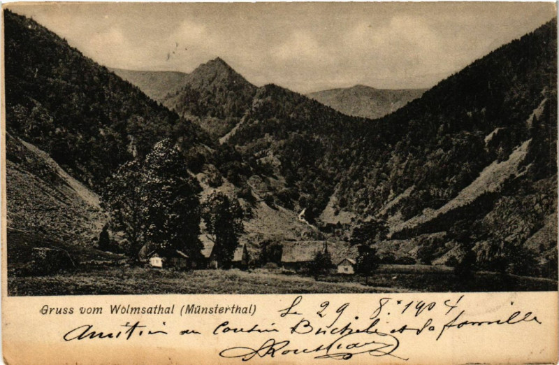 Carte postale ancienne Gruss vom Wolmsathal