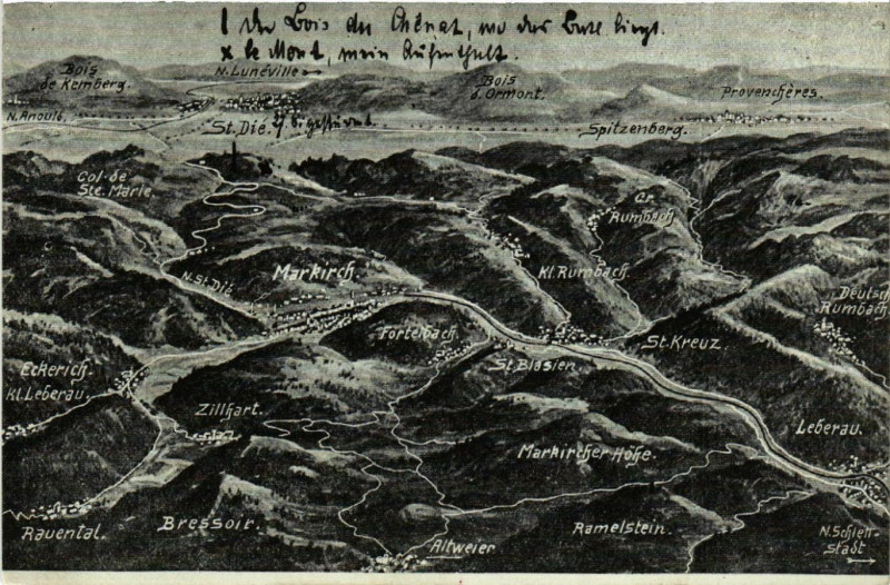 Carte postale ancienne Das Schlachtfeld in den Vogesen