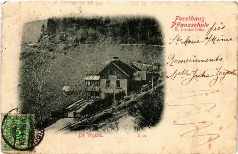 Carte postale ancienne Forsthaus Pflanzschule