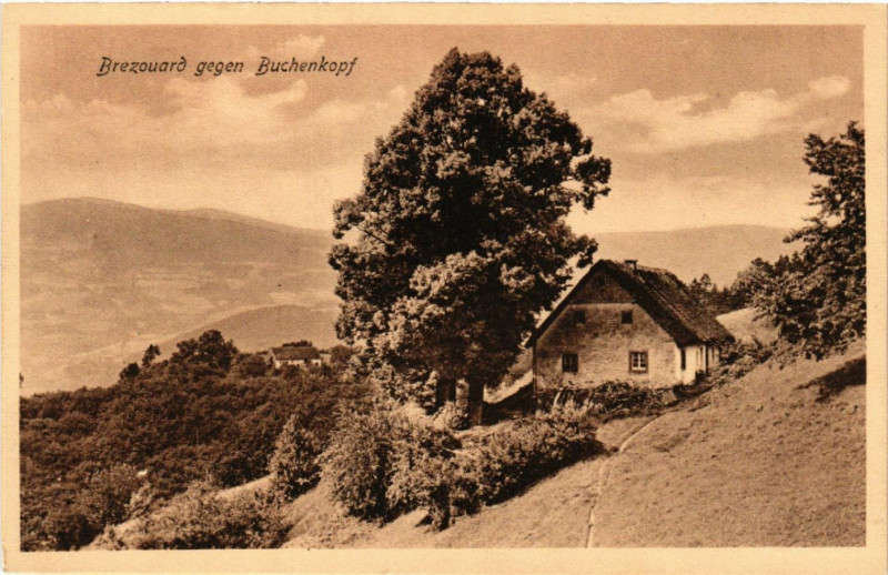 Carte postale ancienne Brezouard gegen Buchenkopf