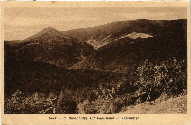 Carte postale ancienne Blick v. d. Barenhutte auf Venuskopf